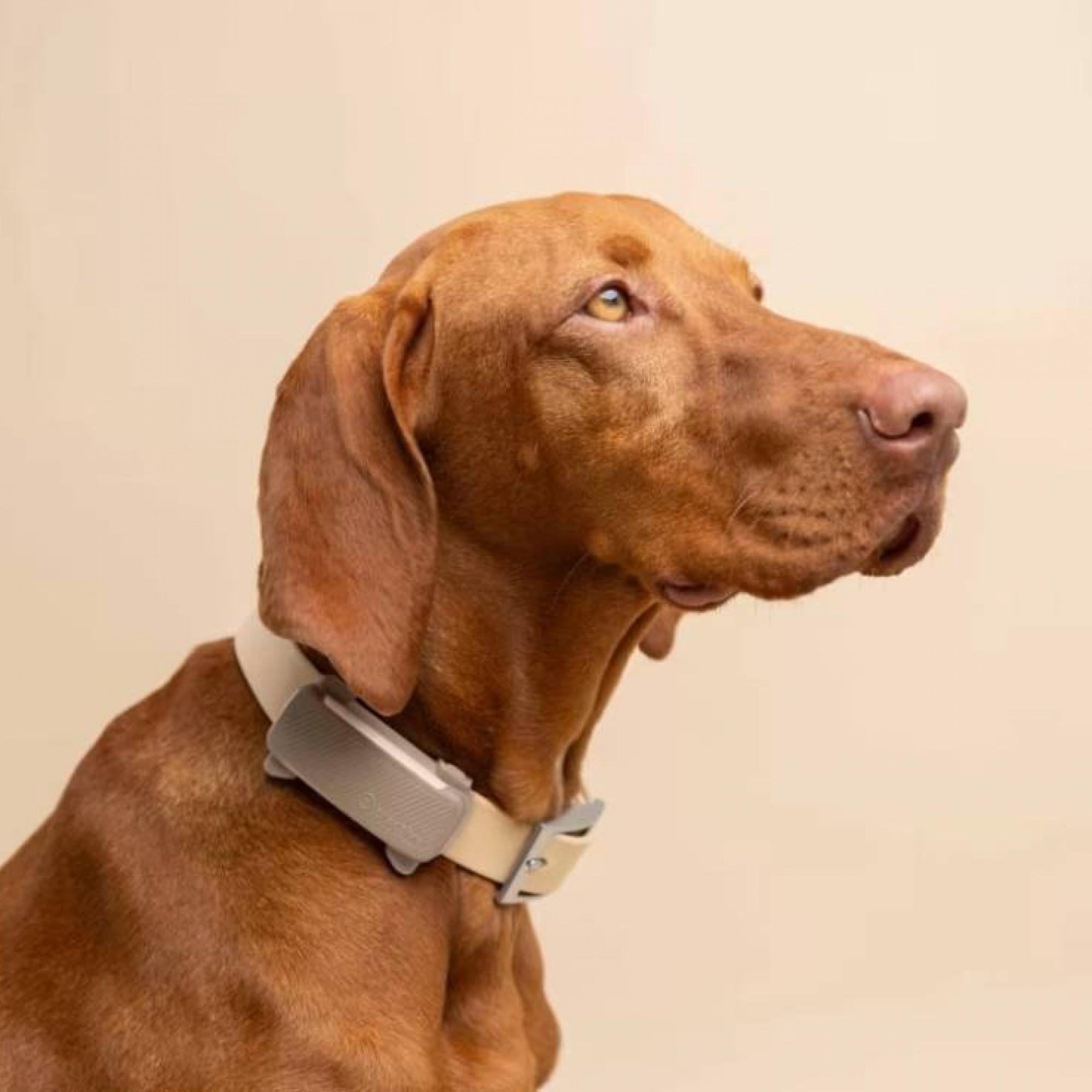 GPS-трекер для собак Tractive GPS Tracker 6 for Dogs Black